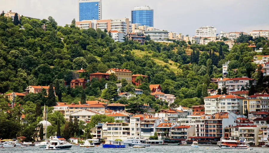 Afternoon Bosphorus Tour with Lunch photo 2