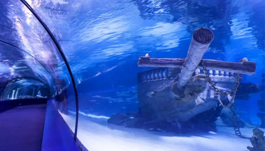 Antalya Aquarium & Muzeum Face2Face photo 2