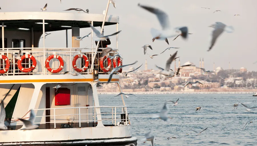 Istanbul City Tour and Bosphorus photo 4