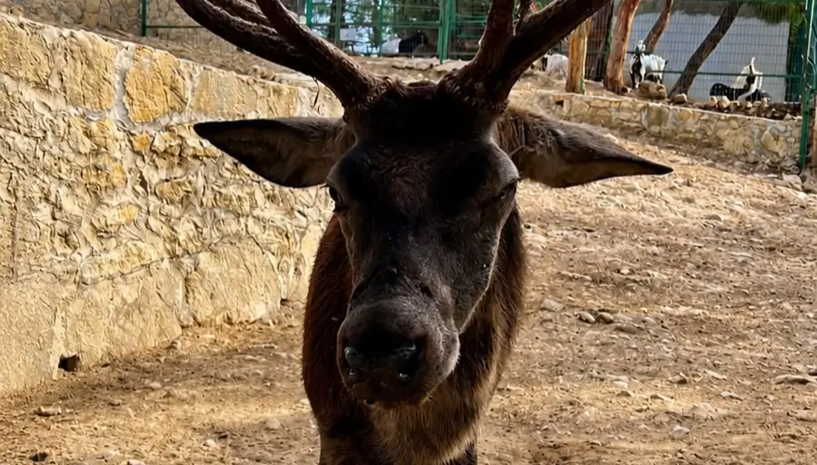 Green Canyon & Zoo – A Family Adventure photo 14